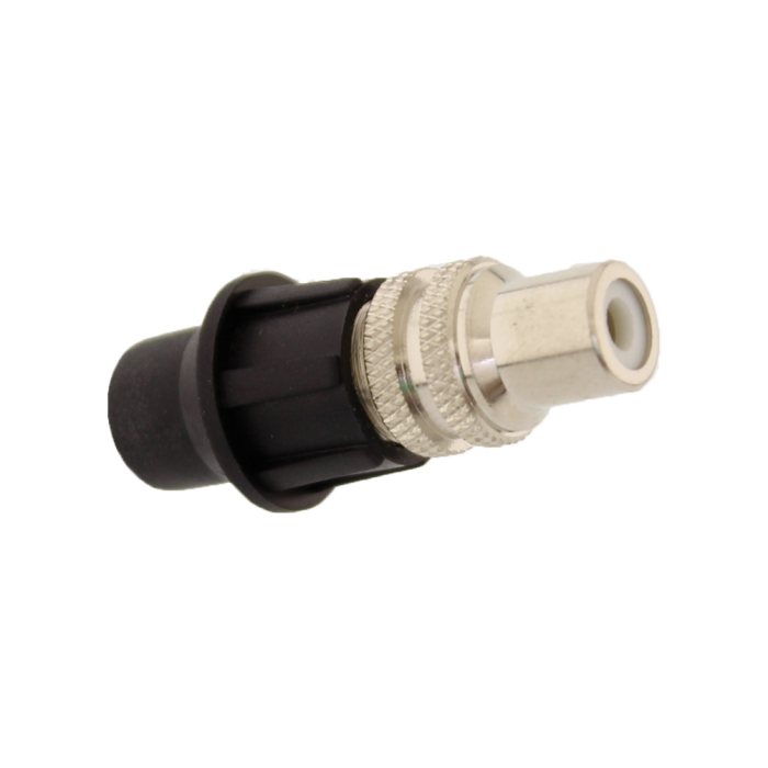 RCA femmina