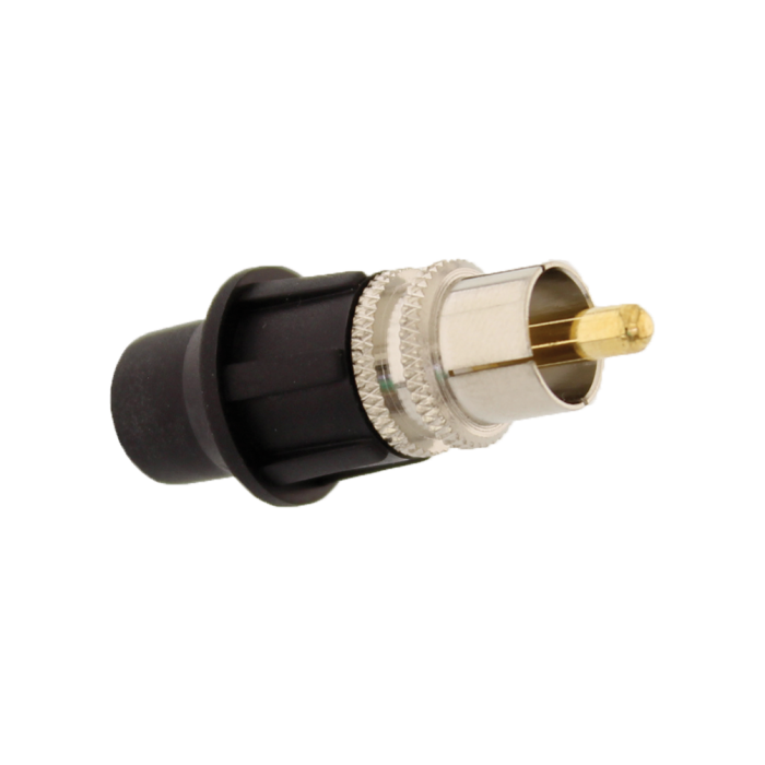 RCA maschio