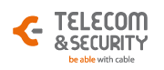 Telecom & Security Logo